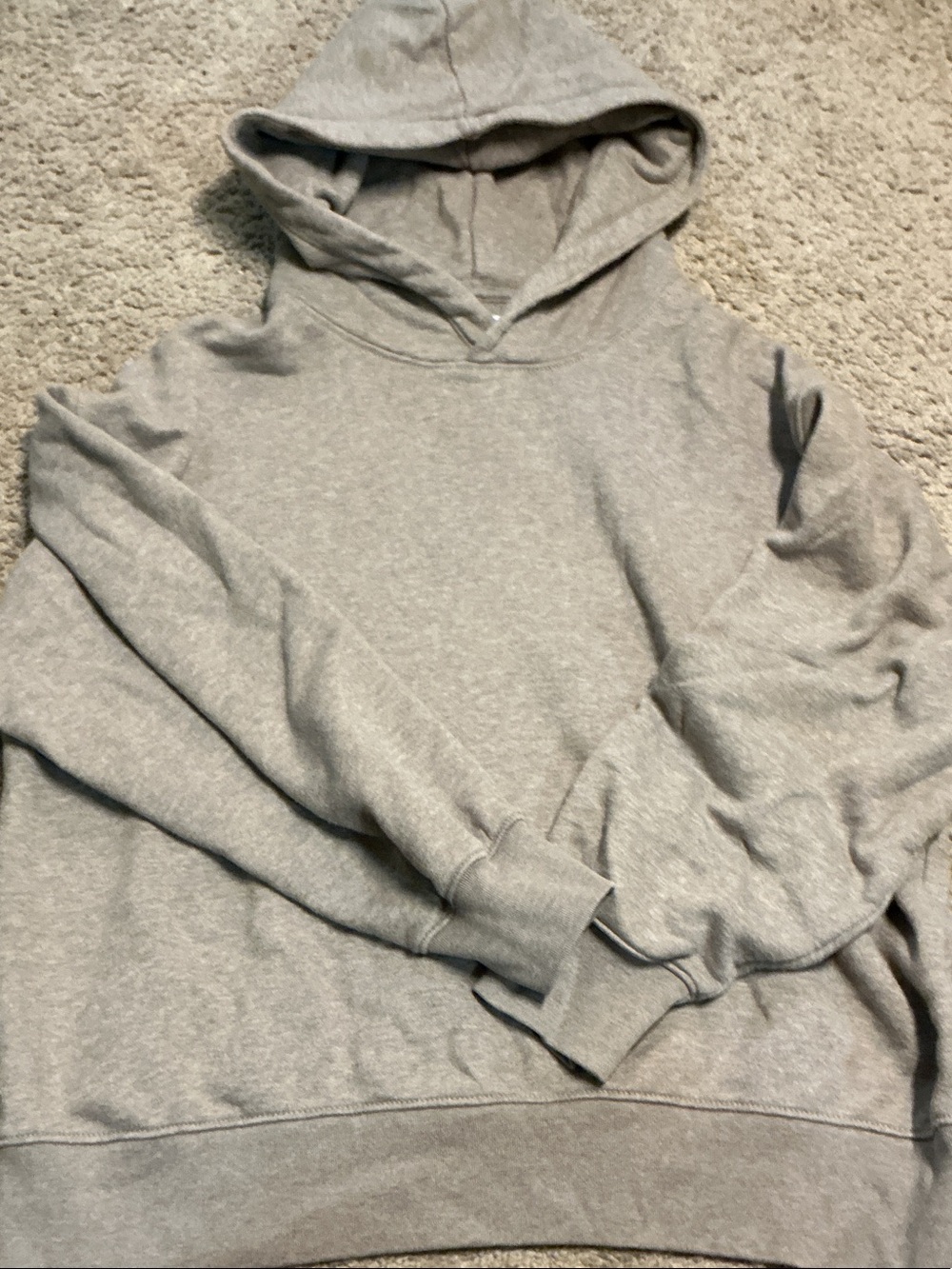 American Eagle Outfitters Light Gray Hooded Sweatshirt